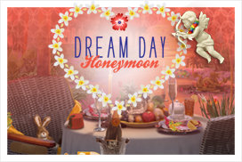 dream day wedding game for android free download